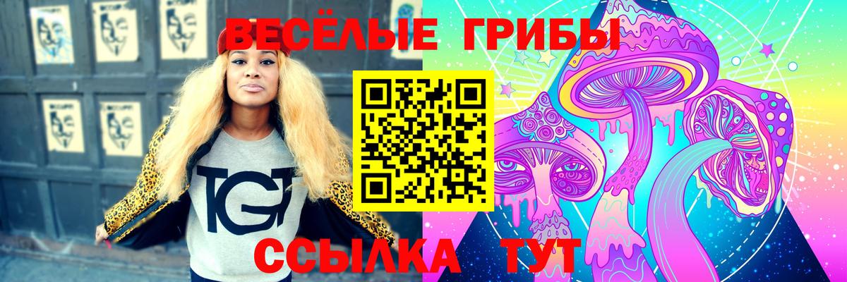 Солнечногорск  Псилоцибиновые грибы Cubensis  Вход с VPN 
